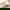 Laufen Hos Bd 3616X2036px