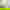 Laufen Hos Bd Et Sortiment Til Alle 1456X1092px