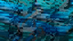 Dokument Vand Afloeb Boxmodule Ratio4 3 1000X750