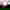 Morten Box 16 9 880X495px