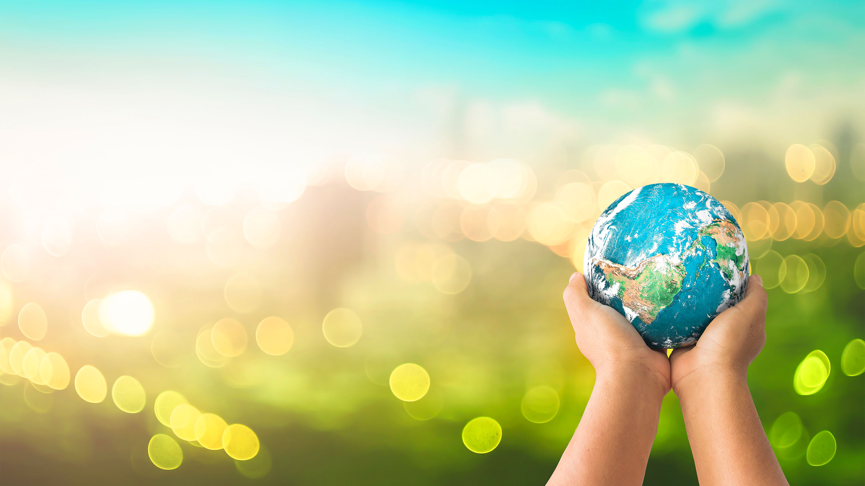 Bæredygtighed Og Grønne Tiltag Hos Brødrene Dahl Hero