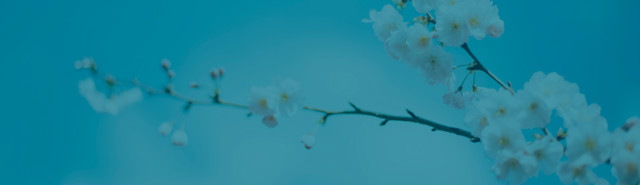 Lukkedage Forår 24 Hero 3616X2036px