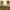 2019-04-24 15_28_03-Brødrene Dahls historie _ Læs mere her - Brødrene Dahl – Google Chrome.png